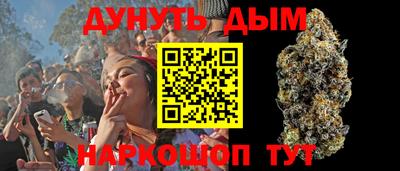 гидра Кингисепп