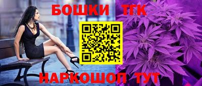 гидра Кингисепп