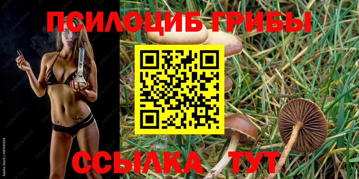 Галлюциногенные грибы Psilocybine cubensis  Галлюциногенные грибы мухоморы  Вход с VPN  Кимры 