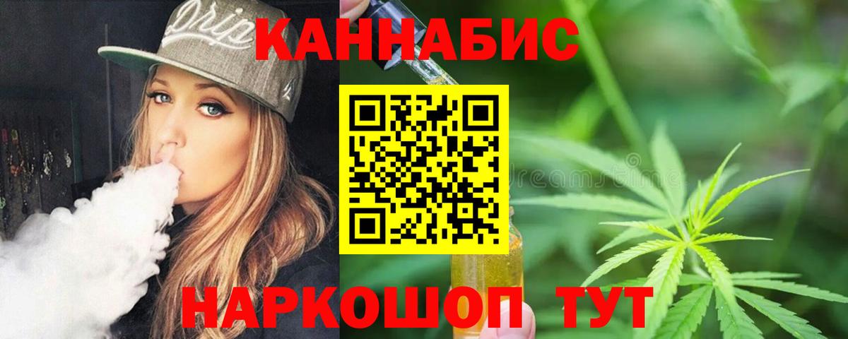 Каннабис индика Кимры
